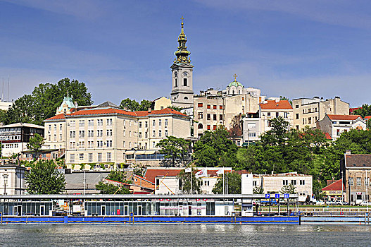 风景,贝尔格莱德,城市,多瑙河