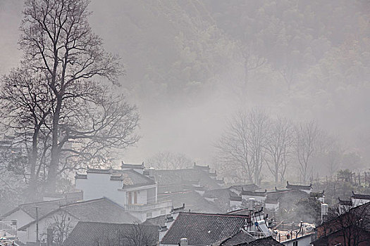 晨雾笼罩山村