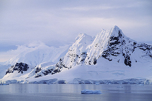 南极,半岛,区域