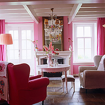 客厅,18世纪,荷兰,房子,对比,白色,光泽,涂绘,木工,火,围绕,粉色,墙壁,布
