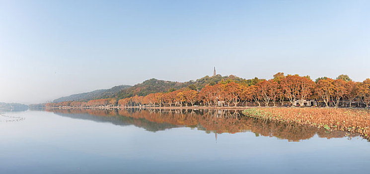 杭州西湖北山街秋景全景图