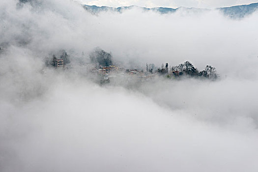 云南元阳梯田,云海,徐学哲摄影,尼康,年月