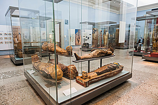 英格兰,伦敦,大英博物馆,展示,埃及,木乃伊