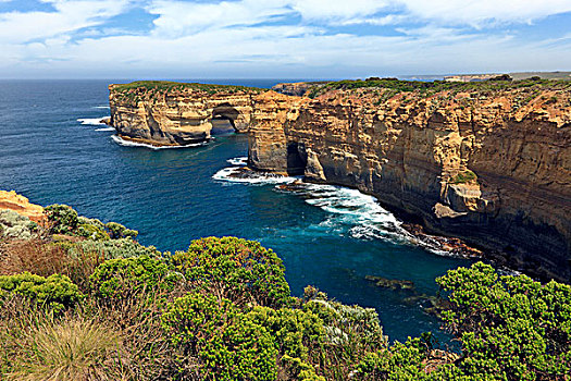 风景,石灰石,海洋,悬崖,拱形,羊肉,鸟,岛屿,坎贝尔港国家公园,道路,维多利亚,澳大利亚
