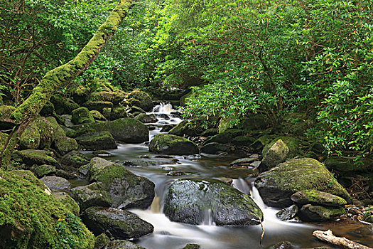 基拉尼国家公园,凯瑞郡,爱尔兰,瀑布
