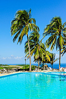 游泳池,棕榈树,海洋,巴拉科阿,古巴