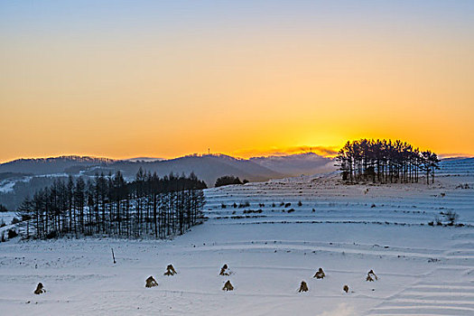 日出,雪地,树林,村庄,雪村