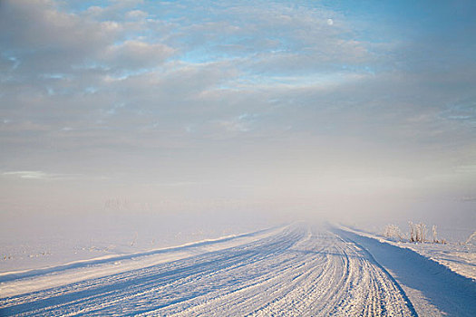 轮胎印,雪,乡村道路