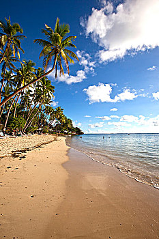 香格里拉,斐济,胜地,水疗,珊瑚海岸,维提岛