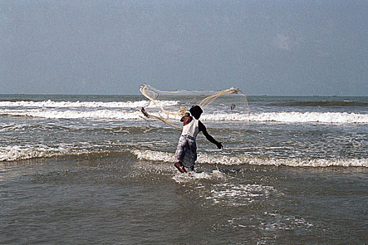 渔民,网,湾,孟加拉,市场,二月,2006年