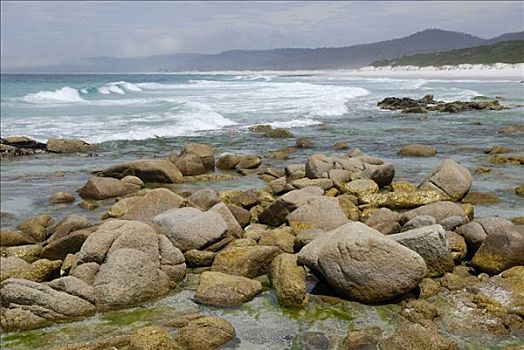 海边风景,石头,友好,海滩,湾,塔斯马尼亚,澳大利亚
