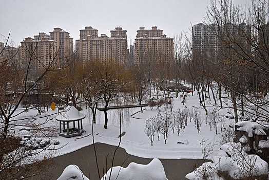 河北省石家庄市公园雪景