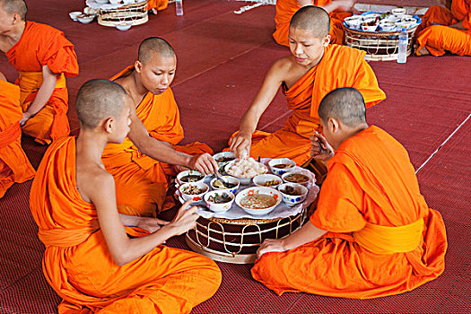 老挝,万象,僧侣,吃,早晨,食物