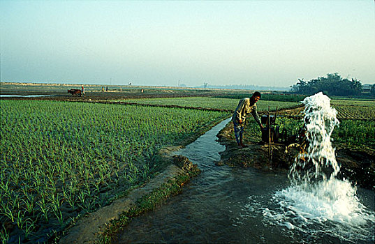 供水,地点,孟加拉,二月,1998年