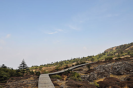 高山之巅