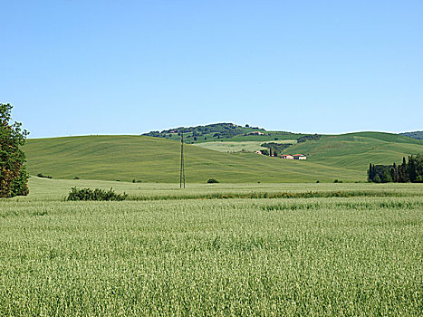 风景