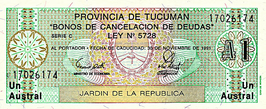 货币,阿根廷,南美洲图皮棕榈