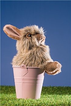 小兔,粉色,桶