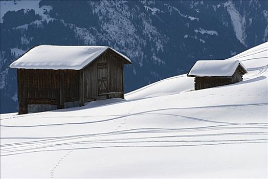 积雪,山区木屋,存储,干草,斜坡,滑雪,格劳宾登州,瑞士,欧洲