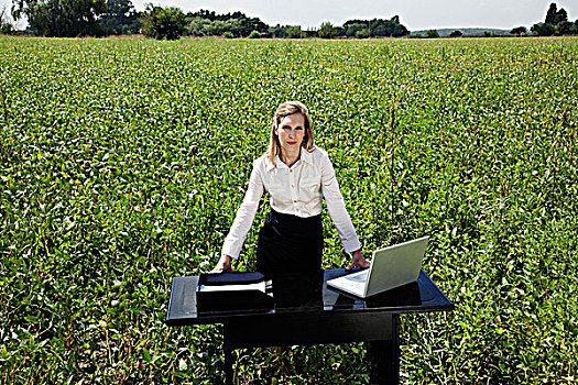 职业女性,工作,笔记本电脑,土地