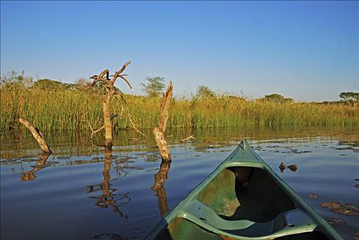 湿地,禁猎区,南非