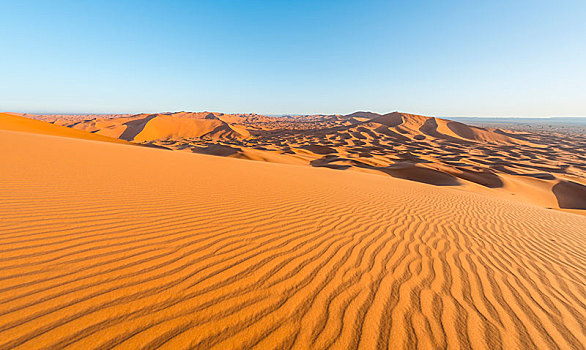 红色,沙丘,沙漠,风景,却比沙丘,梅如卡,撒哈拉沙漠,摩洛哥,非洲