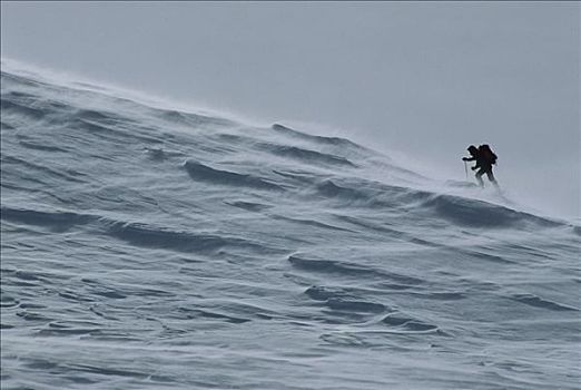 滑雪,远足者,风,南阿尔卑斯山,新西兰
