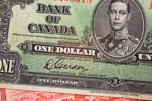 特写,老,加拿大,一美元