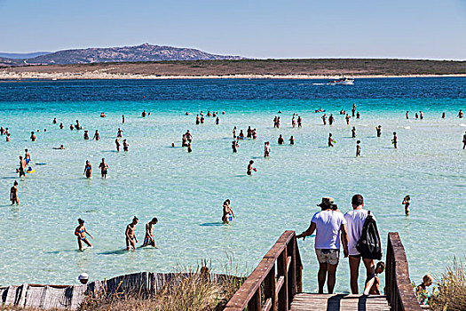 洗澡,蓝绿色海水,海滩,国家公园,省,萨萨里,萨丁尼亚,意大利,欧洲
