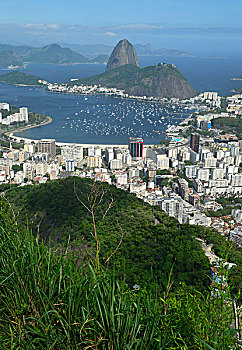 面包山,里约热内卢,巴西,南美