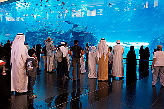 迪拜,水族箱,水下,动物园,商场,阿联酋,中东