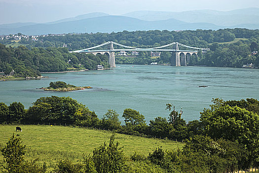 威尔士,安格尔西岛,桥,吊桥,连接,岛屿,大陆,设计,泰尔福特