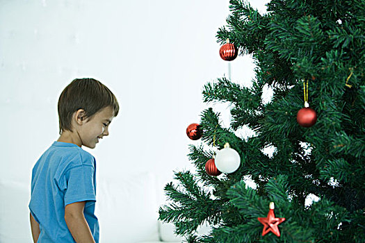 男孩,站立,圣诞树