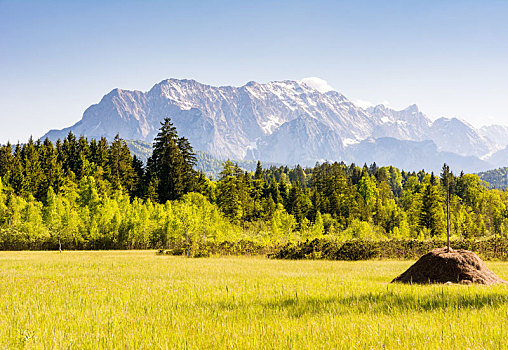 草地,阿尔卑斯山,巴伐利亚