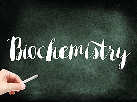 生物化学,书写,黑板