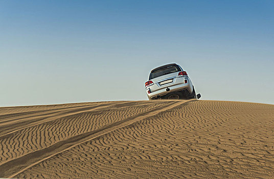 越野,交通工具,驾驶,上方,上面,荒漠沙丘,迪拜,阿联酋