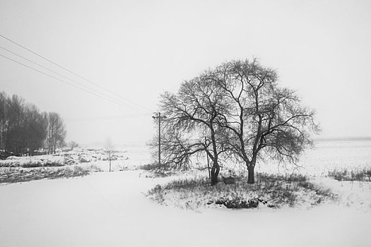 齐齐哈尔雪原