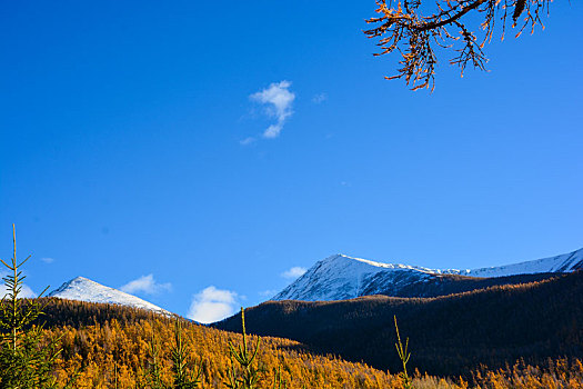 西北第一村白哈巴金秋盛景