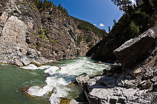 男性,皮划艇手,峡谷,麋鹿,河,不列颠哥伦比亚省,加拿大