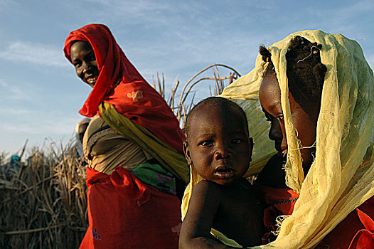 孩子,婴儿,兄弟,露营,人,近郊,林羚,南方,达尔富尔,苏丹,十一月,2004年