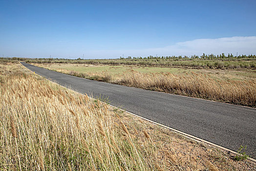 盘山公路