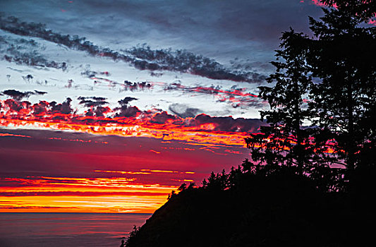 日落,西部,州立公园,俄勒冈,美国