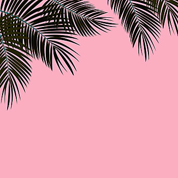 黑色,粉色,棕榈叶,矢量,背景,插画
