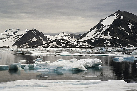 格陵兰,冰山,堆积,东海岸