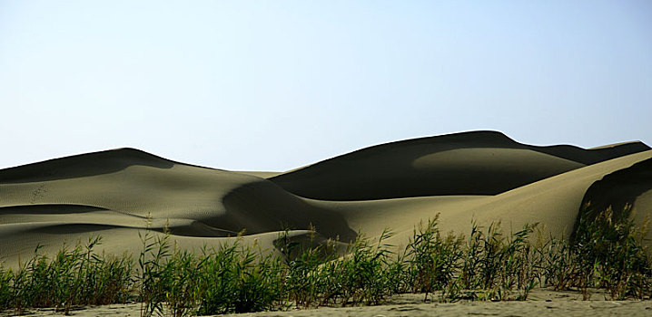 沙漠库尔勒