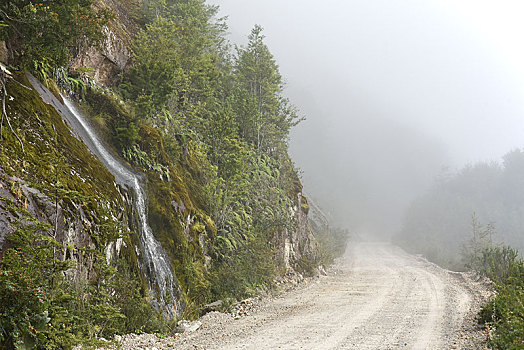 碎石路,雾,波多黎各,巴塔哥尼亚,智利,南美