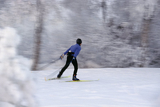 女人,越野滑雪,阿拉斯加,冬天