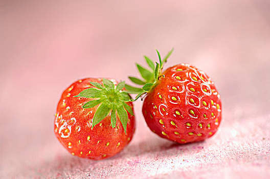 小,草莓