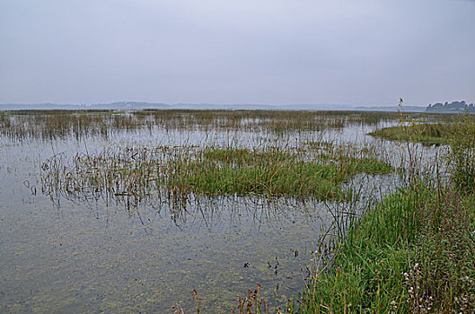 贵州草海风光,威宁,草海,木船,栖息地,海,淡水湖,渔船,湖水,湖泊,湿地,湿地高原,秋色,船只,草,贵州风光,风光,高原湖泊,黑颈鹤,国家一级保护鸟类,鸟类,海鸟,花海