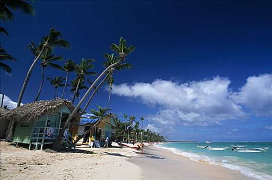 小屋,棕榈海滩,干盐湖,靠近,蓬塔卡纳,多米尼加共和国,加勒比海